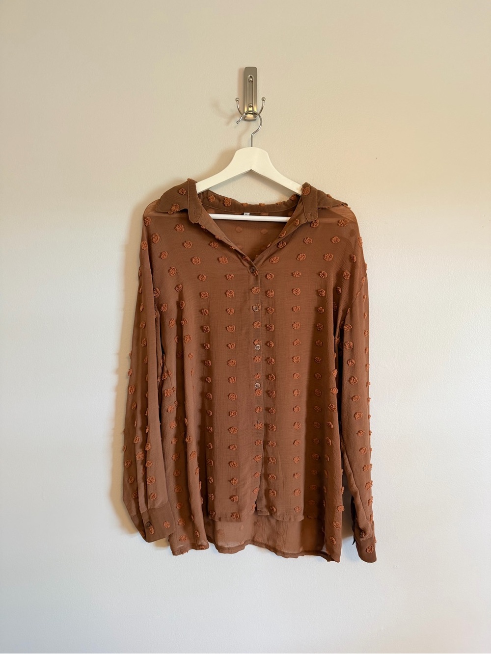 Brown Swiss Dot Button-Down Blouse - Women's Top